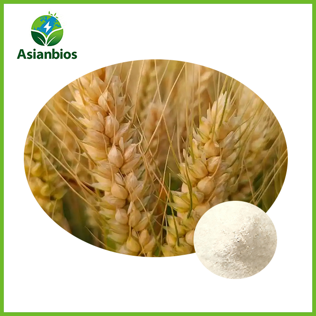Wheat Oligopeptide Powder
